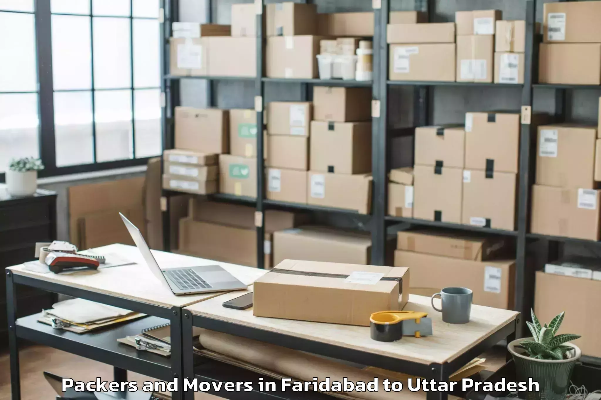 Professional Faridabad to Bindki Packers And Movers